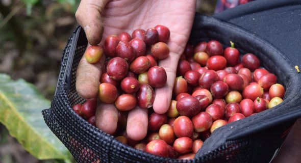 drink geen dure koffie