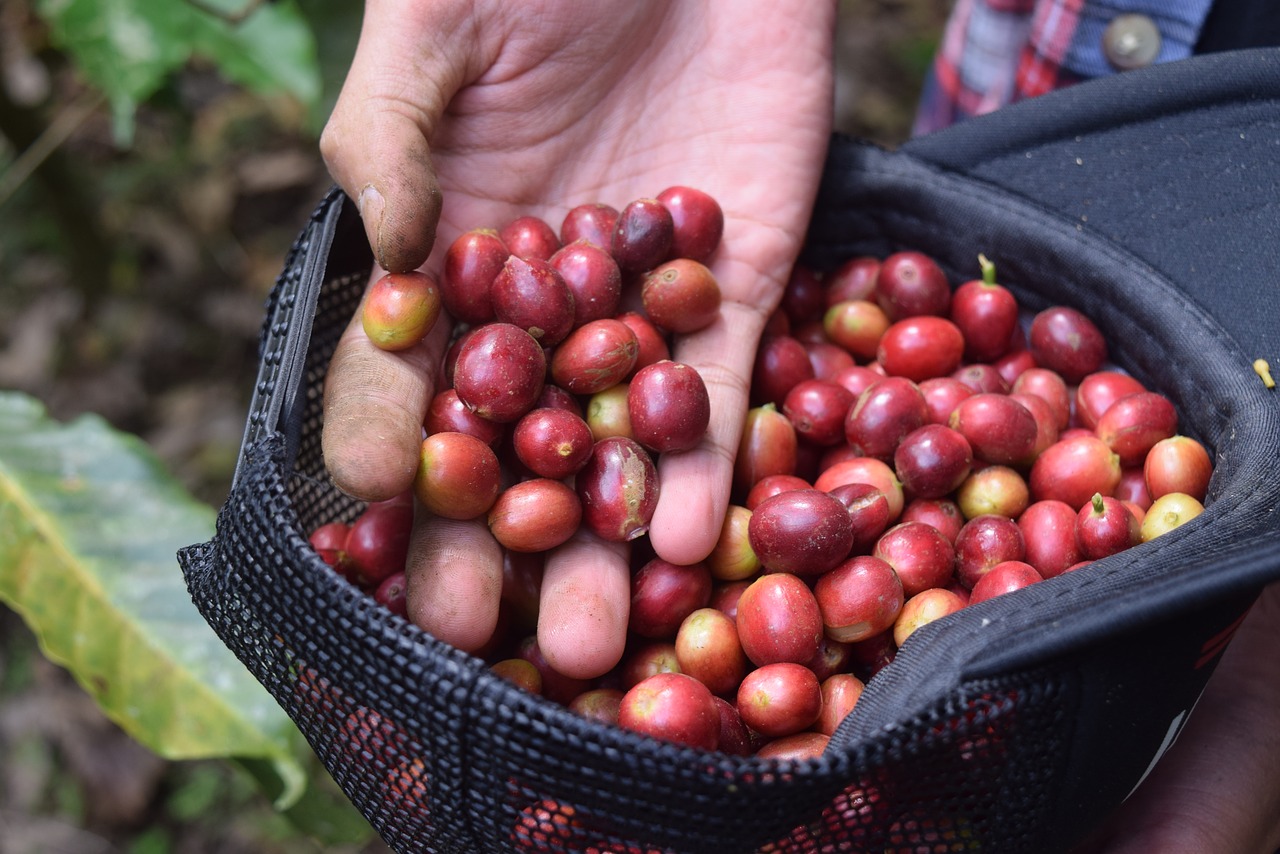 drink geen dure koffie