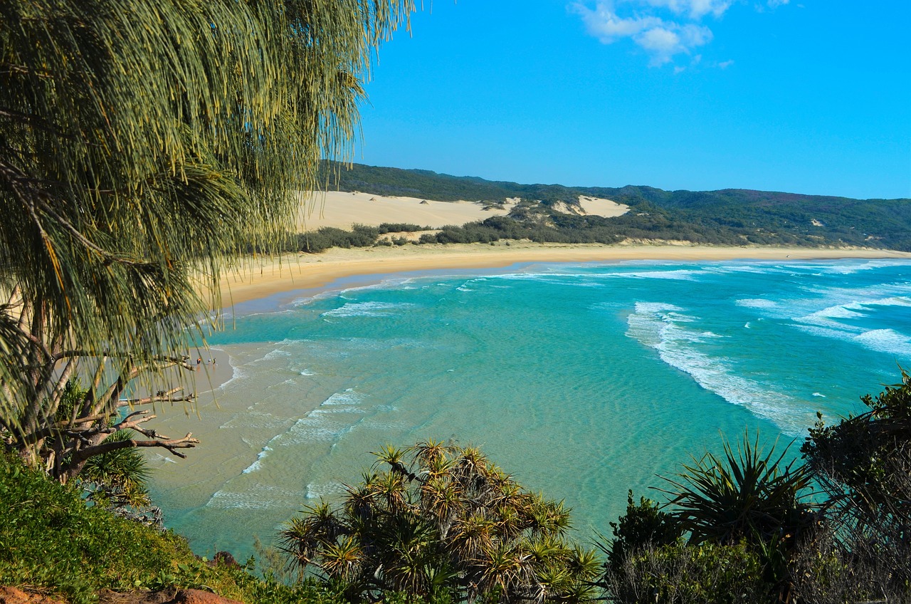 Kleine giste kwallen Australië